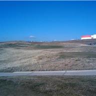#13 Tee
