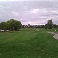 #1 Tee