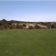 #7 Tee