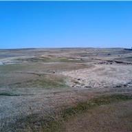 #17 Tee