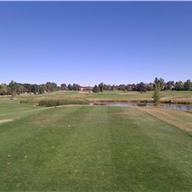 #5 Tee