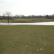 #5 Approach