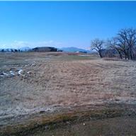#8 Tee