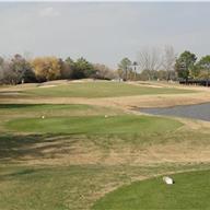 #6 Tee