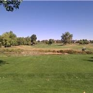 #10 Tee