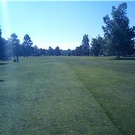 #6 Tee
