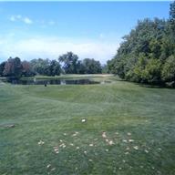#13 Tee