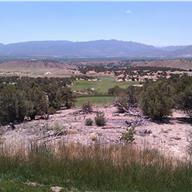 #15 Tee
