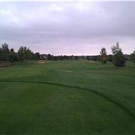 #3 Tee
