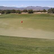 #14 Green