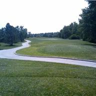 #14 Tee