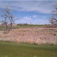 #11 Tee