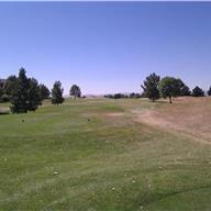 #16 Tee