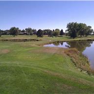 #8 Tee