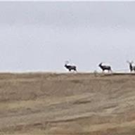 Walnut Creek Golf Preserve 20 Dec 2025