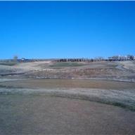 #9 Tee