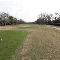 #3 Tee