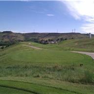 #1 Tee