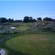 #8 Tee