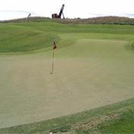 #14 Green