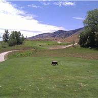 #14 Tee