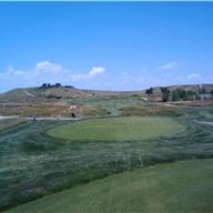 #11 Tee