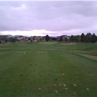 #5 Tee