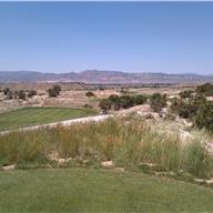 #9 Tee