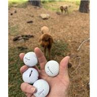 Martis Camp 13 Jul 2026
