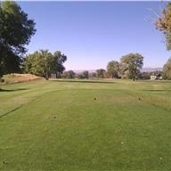 #1 Tee