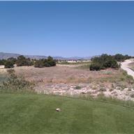 #6 Tee