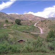 #11 Tee