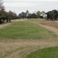 #14 Tee