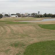 #15 Tee